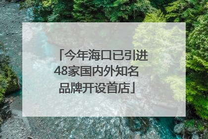 今年海口已引进48家国内外知名品牌开设首店